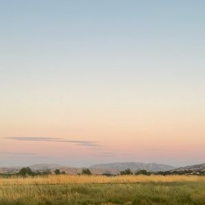 Meet your Posher, Ella